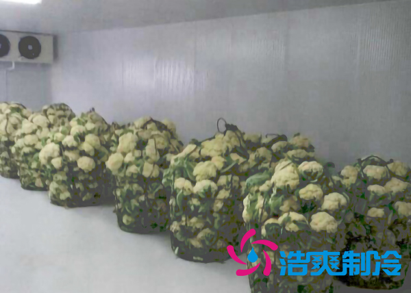 食品冷庫保鮮庫設(shè)計安裝方案及其儲藏效果 食品冷庫保鮮庫設(shè)計安裝方案及其儲藏效果
