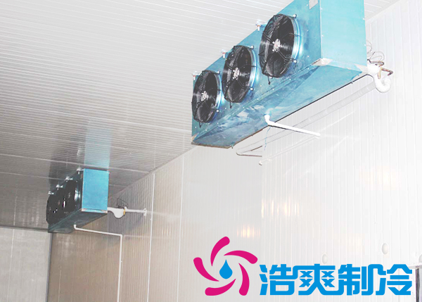 建造大型低溫冷鏈配送中心冷庫造價(jià)費(fèi)用要花多少錢？