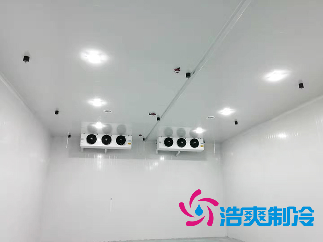 超低溫凍庫(kù)建設(shè)價(jià)格與哪些因素有關(guān)？_浩爽制冷