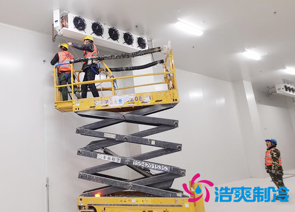 蔬菜種植基地建造600立方米保鮮冷庫大概需要多少錢？-浩爽制冷