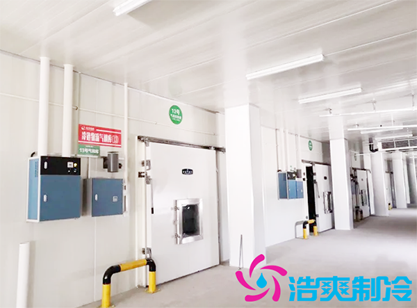 農(nóng)產(chǎn)品批發(fā)市場建造700立方保鮮冷庫全套制冷設(shè)備報價多少錢？-浩爽制冷