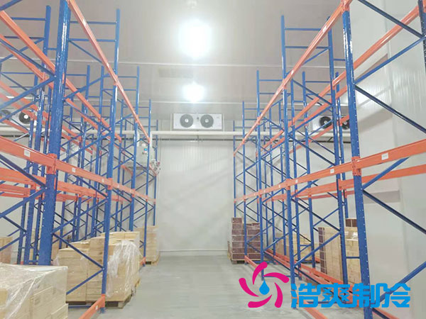 如何選擇專業(yè)的生鮮冷凍物流冷庫公司？-浩爽制冷