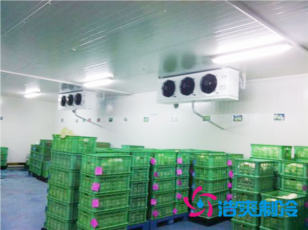 茶葉冷庫造價(jià)多少一平方米？-浩爽制冷