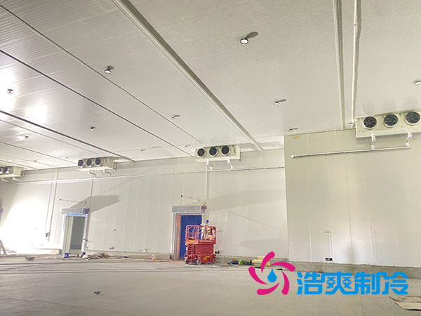 大型水果冷庫造價多少錢一平方？-浩爽制冷
