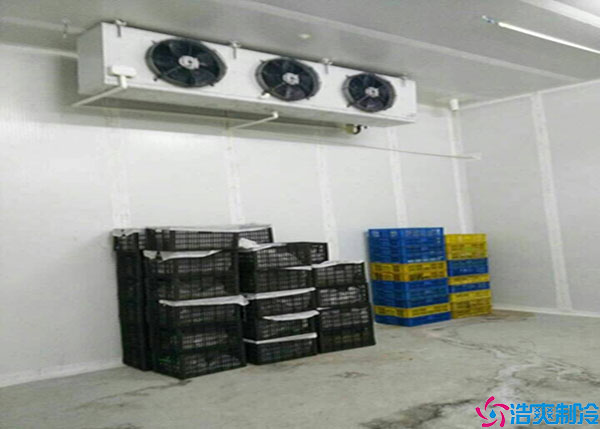 寧夏氣調(diào)冷庫如何建造？.jpg