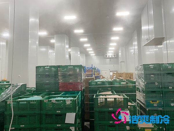 夏季蔬菜保鮮難？500噸冷庫建造價(jià)格揭秘！