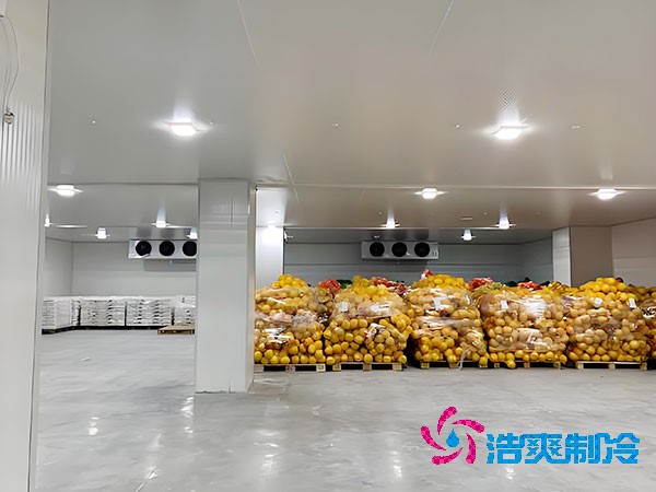 建一個(gè)蔬菜冷庫造價(jià)需要多少錢？-浩爽制冷