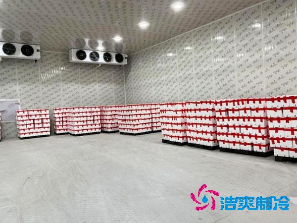 貯存食品建造價格